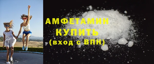 стаф Богданович