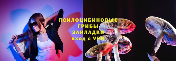 стаф Богданович