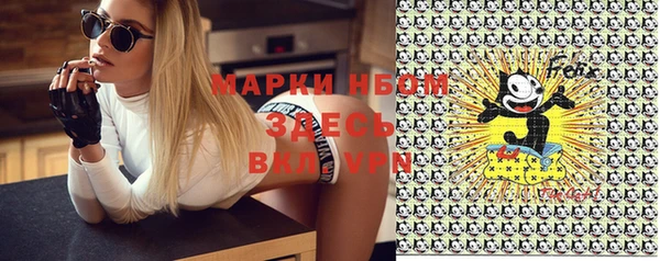 стаф Богданович