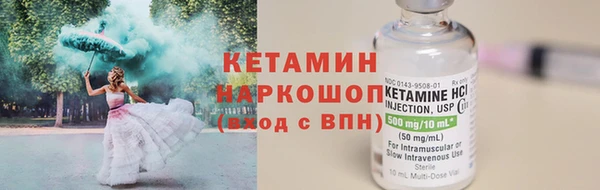 стаф Богданович