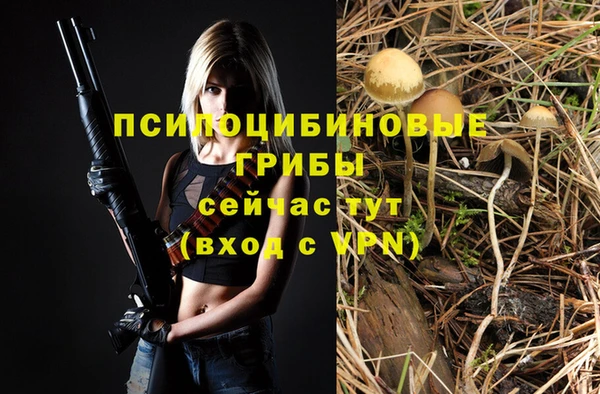 стаф Богданович