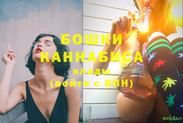 стаф Богданович