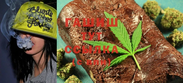 стаф Богданович